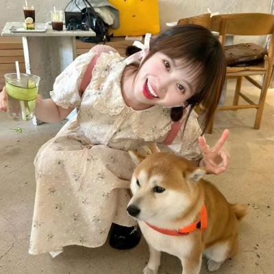 求婚大作战特别篇